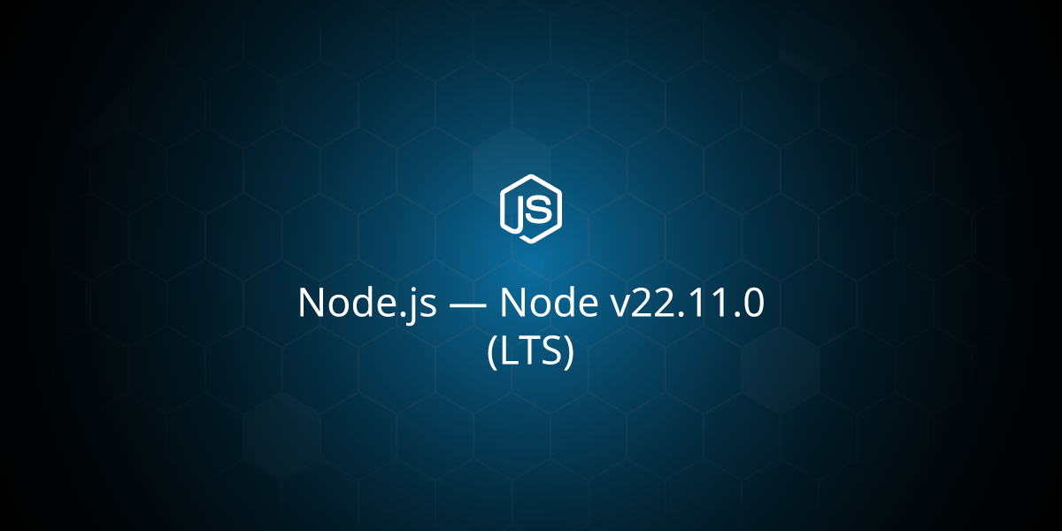 Node v22.11.0 (LTS)